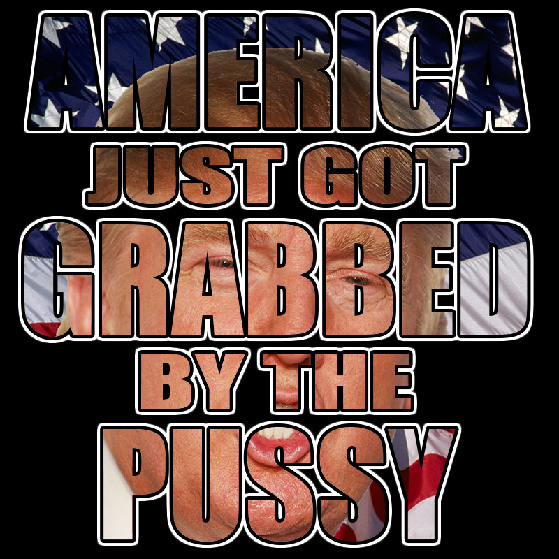 people-politico-america-just-got-grabbed-by-the-pussy-full-color
