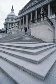 people-politico-steps-government-building